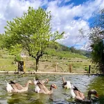 Private Douro- Quinta Susandas Farm stay Mesao Frio