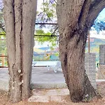 Private Douro- Quinta Susandas *