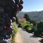 Farm stay Private Douro- Quinta Susandas Mesao Frio
