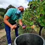 Private Douro- Quinta Susandas