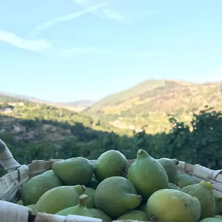 Farma Private Douro- Quinta Susandas