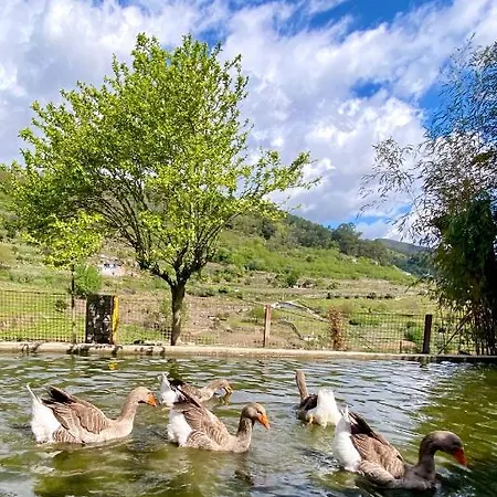 Private Douro- Quinta Susandas Vakantieboerderij Mesão Frio