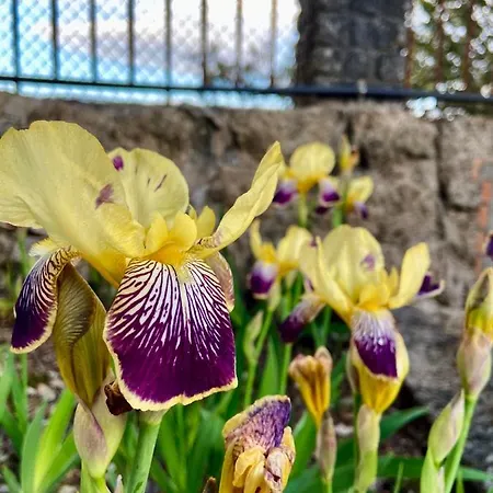 Private Douro- Quinta Susandas Mesão Frio