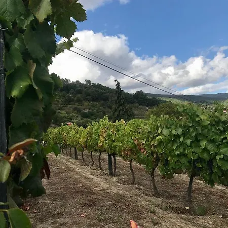 Farma Private Douro- Quinta Susandas *