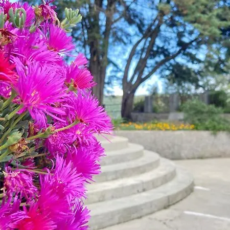 Private Douro- Quinta Susandas Mesão Frio