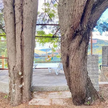 Private Douro- Quinta Susandas *