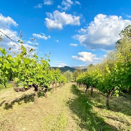 Private Douro- Quinta Susandas Mesão Frio