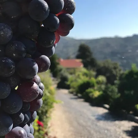 Séjour à la ferme Private Douro- Quinta Susandas Mesão Frio