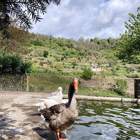 Private Douro- Quinta Susandas Mesão Frio