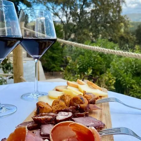 Private Douro- Quinta Susandas Vakantieboerderij Mesão Frio