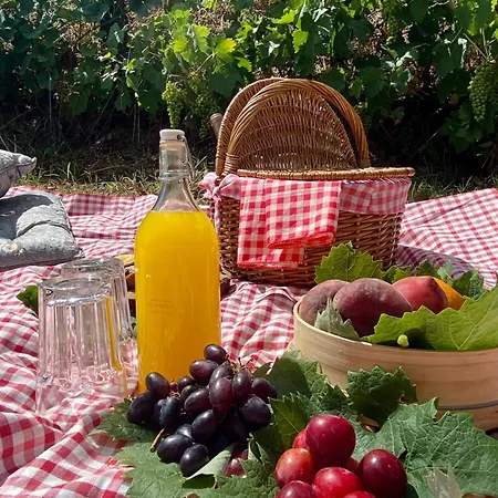 Alojamento de Turismo Rural Private Douro- Quinta Susandas
