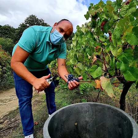 Private Douro- Quinta Susandas