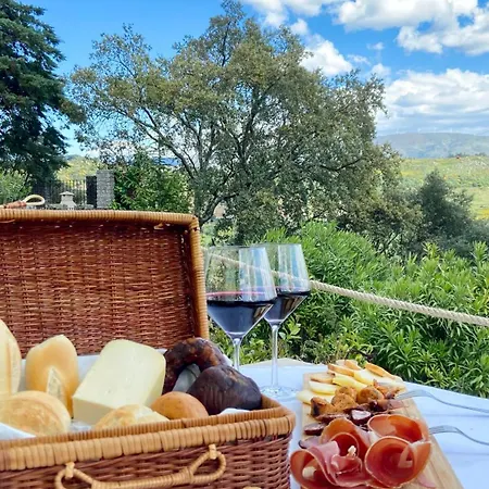 Private Douro- Quinta Susandas Vakantieboerderij Mesão Frio