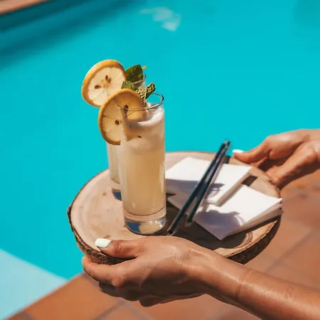 Private Douro- Quinta Susandas Mesão Frio