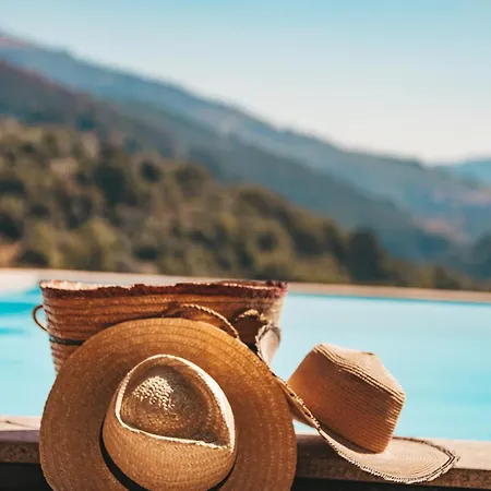 Private Douro- Quinta Susandas