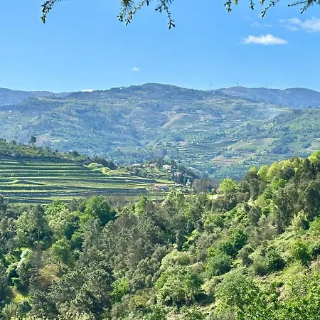 Private Douro- Quinta Susandas *