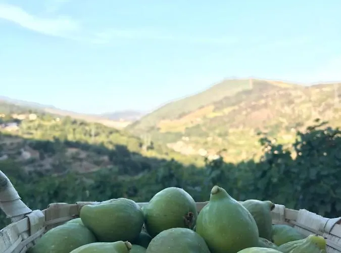 Feriegård Private Douro- Quinta Susandas