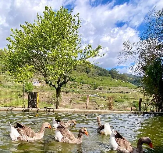 Private Douro- Quinta Susandas בית חווה מסאו פריו