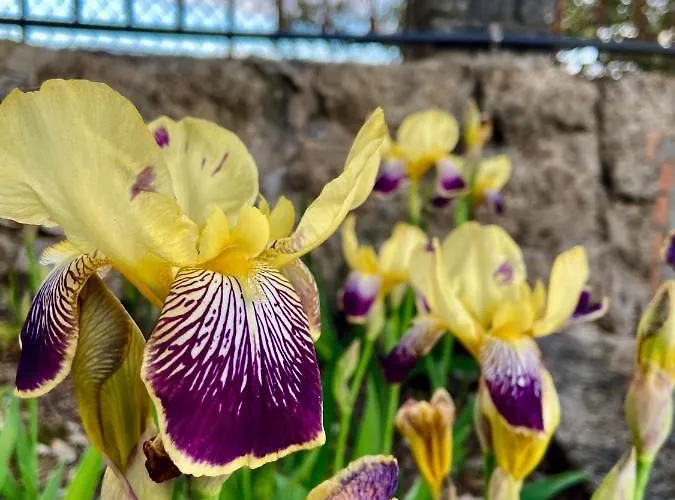 Private Douro- Quinta Susandas Mesão Frio