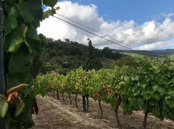 בית חווה Private Douro- Quinta Susandas *