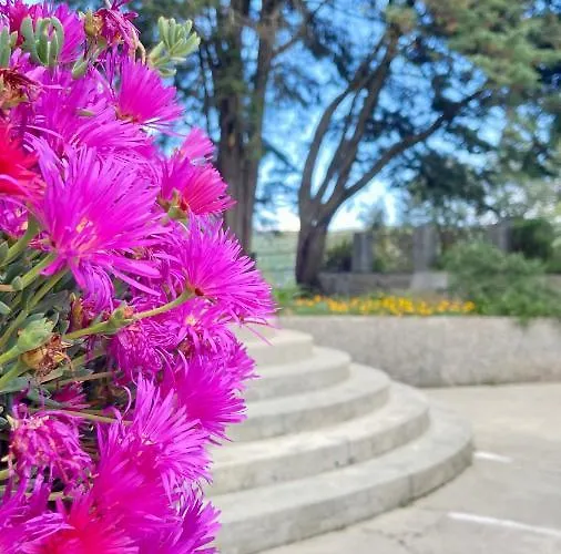 Private Douro- Quinta Susandas מסאו פריו