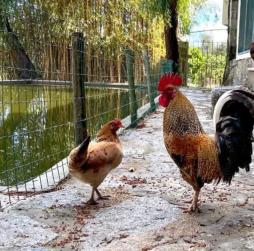 Private Douro- Quinta Susandas בית חווה