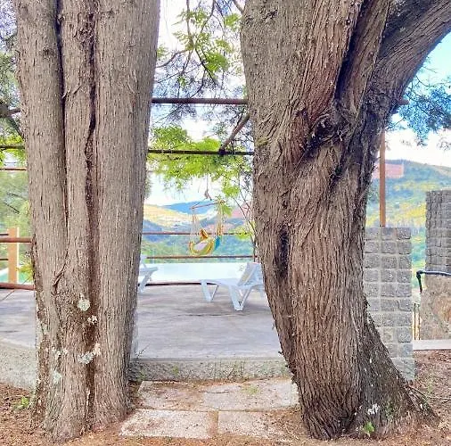 Private Douro- Quinta Susandas *