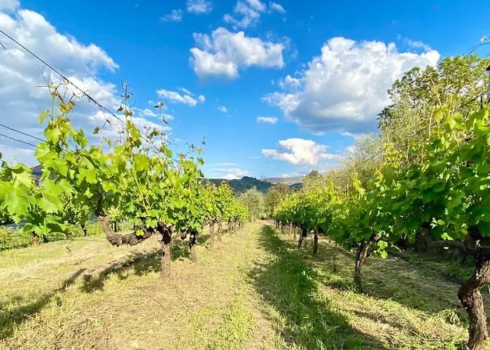Private Douro- Quinta Susandas Mesão Frio