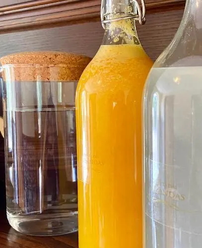 Feriegård Private Douro- Quinta Susandas *