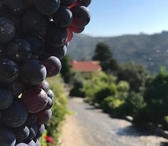 בית חווה Private Douro- Quinta Susandas מסאו פריו