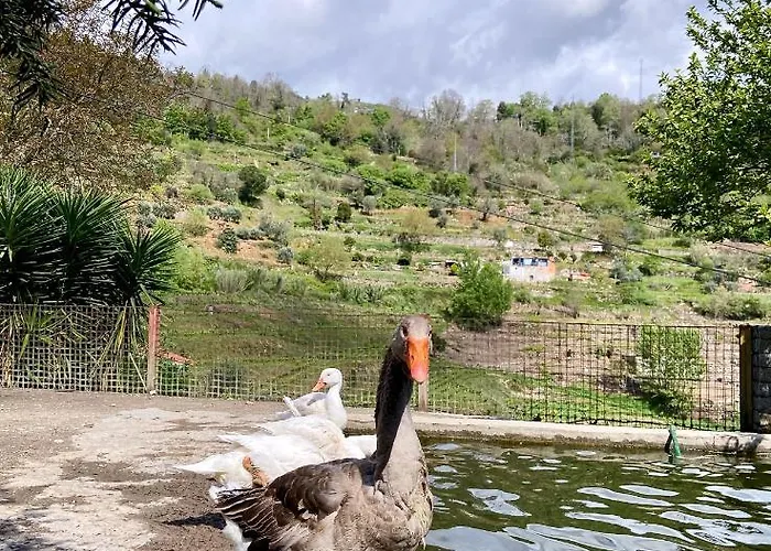 Private Douro- Quinta Susandas Mesão Frio