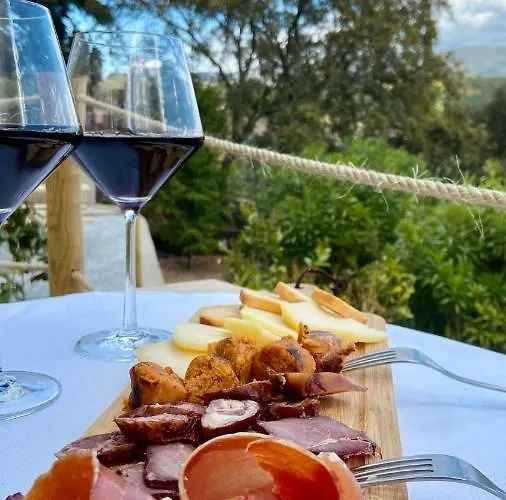 Private Douro- Quinta Susandas Feriegård Mesão Frio