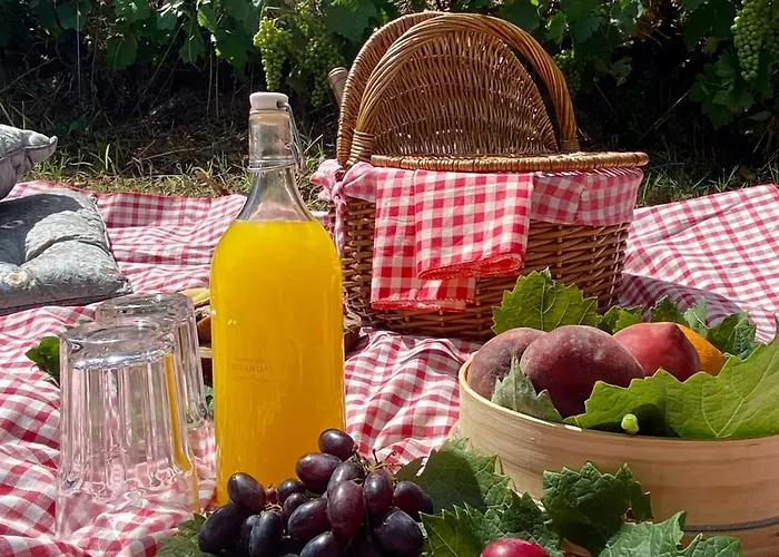 בית חווה Private Douro- Quinta Susandas