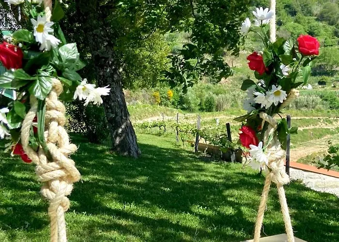 Private Douro- Quinta Susandas בית חווה