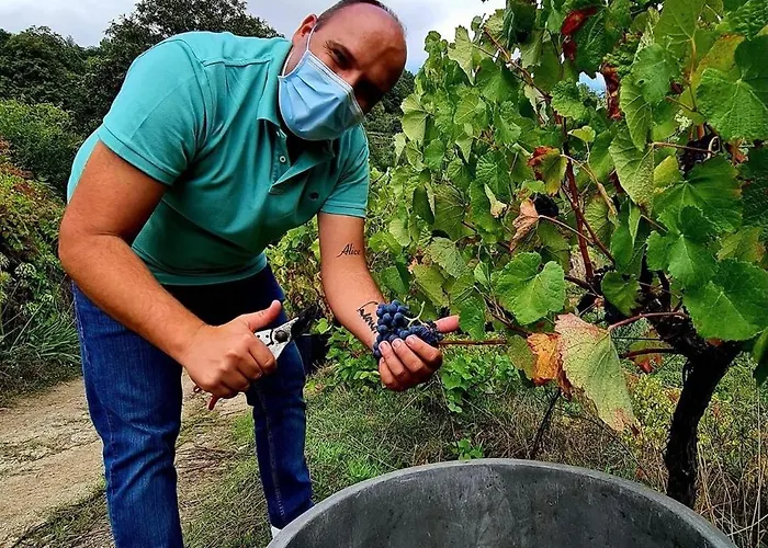 Private Douro- Quinta Susandas