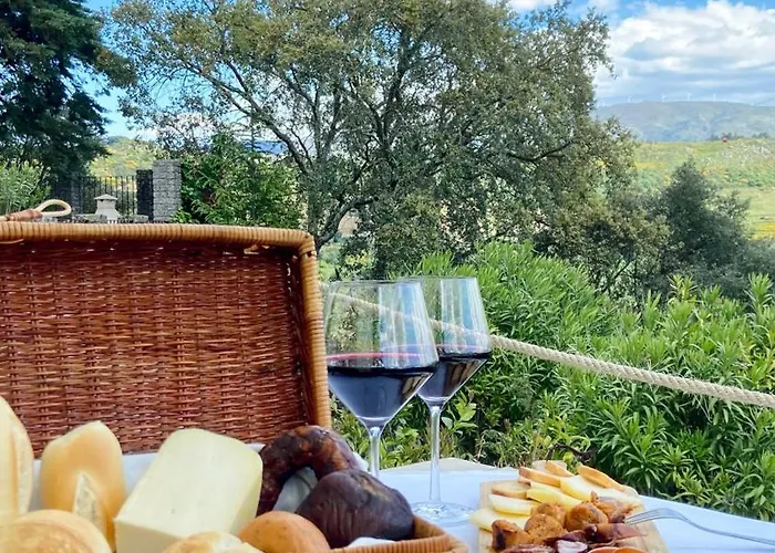 Private Douro- Quinta Susandas Feriegård Mesão Frio