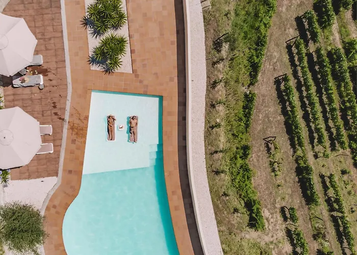 בית חווה Private Douro- Quinta Susandas מסאו פריו